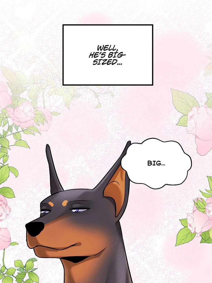 The Man Is A Real Dog Chapter 12 page 20