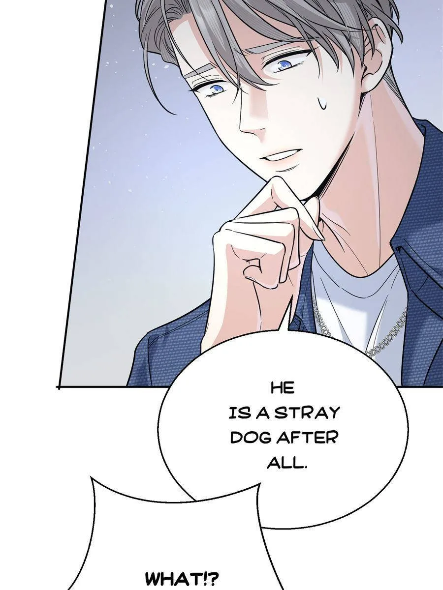 The Man Is A Real Dog Chapter 14 page 38