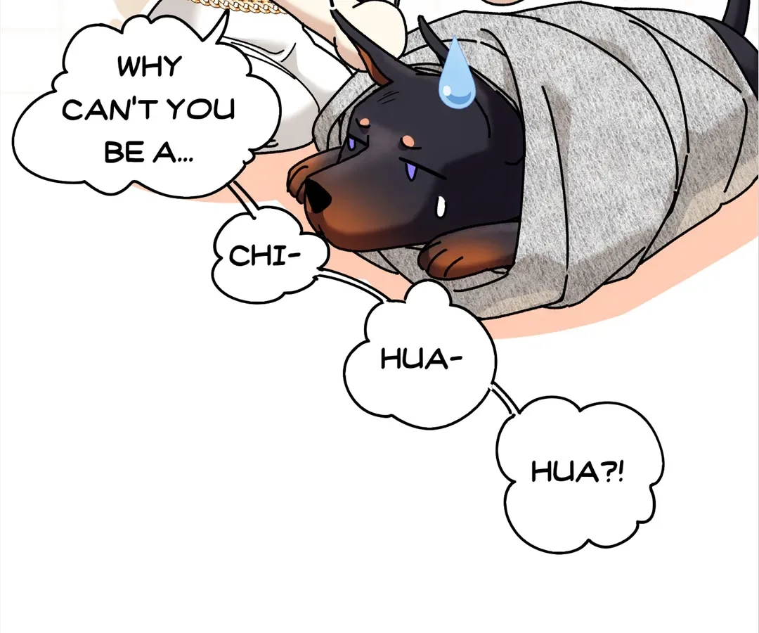 The Man Is A Real Dog Chapter 42 page 97