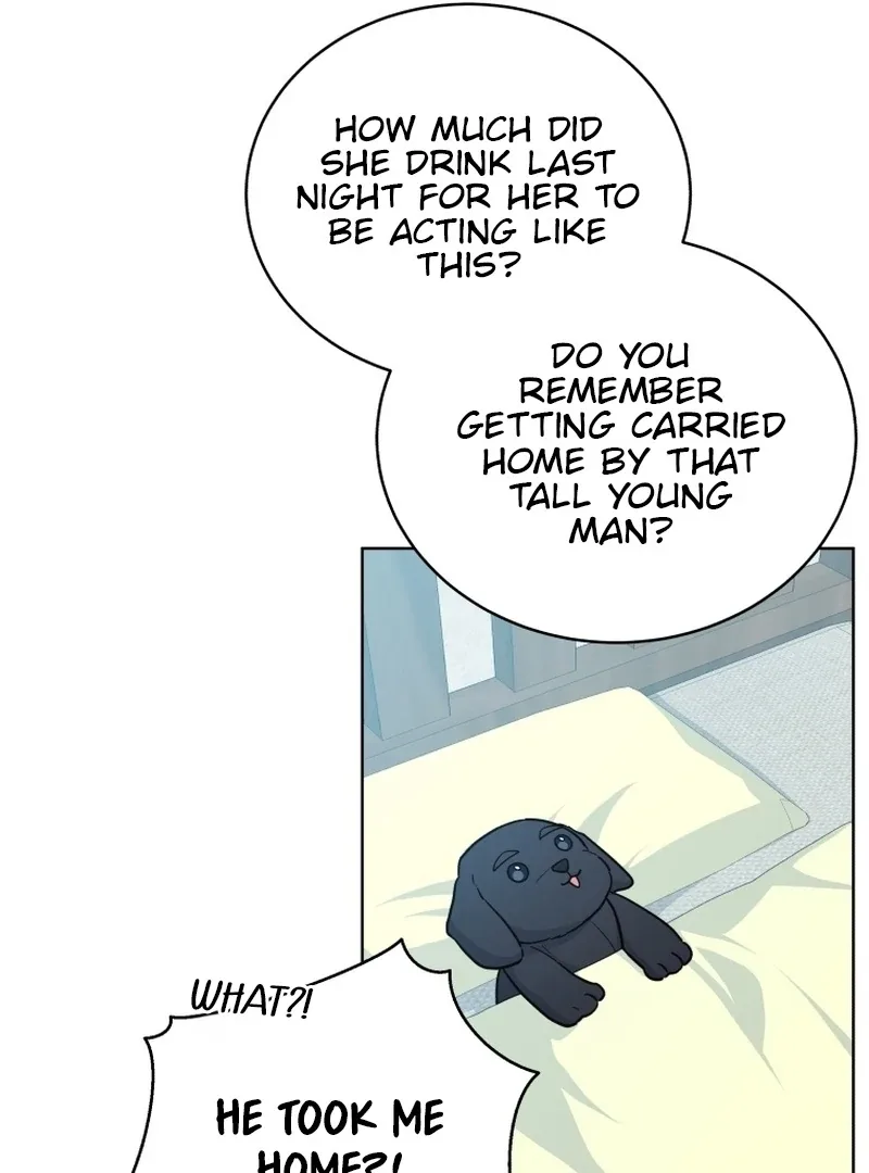 The man who fell in love with me Chapter 22 page 84