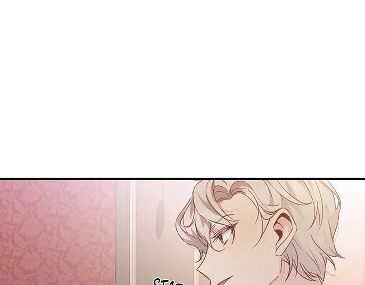 The Marquis and the Iron Wall Lady Chapter 3 page 7