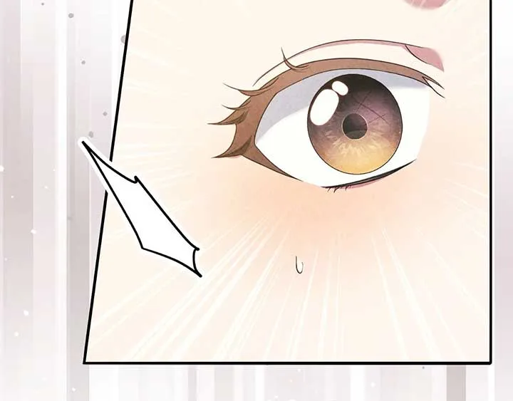 The Marquis and the Iron Wall Lady Chapter 11 page 16