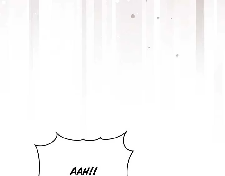 The Marquis and the Iron Wall Lady Chapter 11 page 17