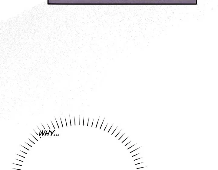 The Marquis and the Iron Wall Lady Chapter 25 page 163