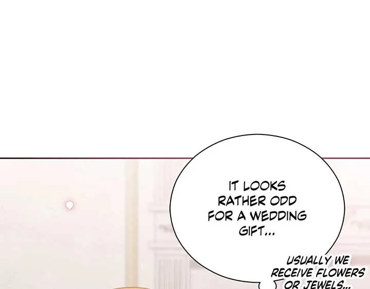 The Marquis and the Iron Wall Lady Chapter 29 page 20