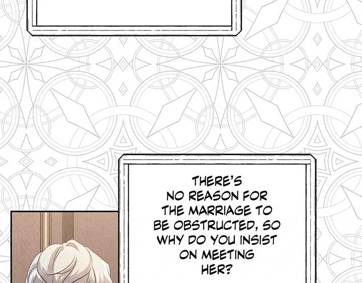 The Marquis and the Iron Wall Lady Chapter 28 page 164