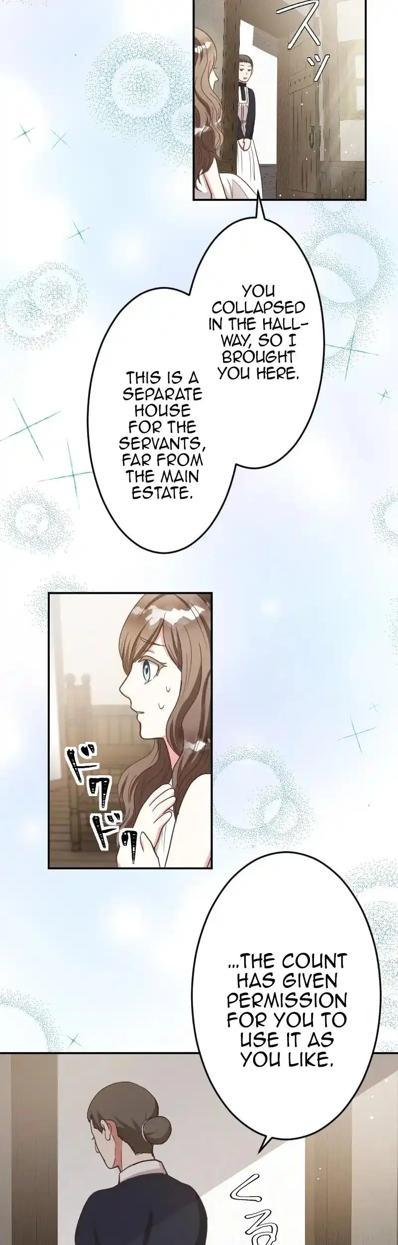The Marriage of Countess Michelle Chapter 3 page 17