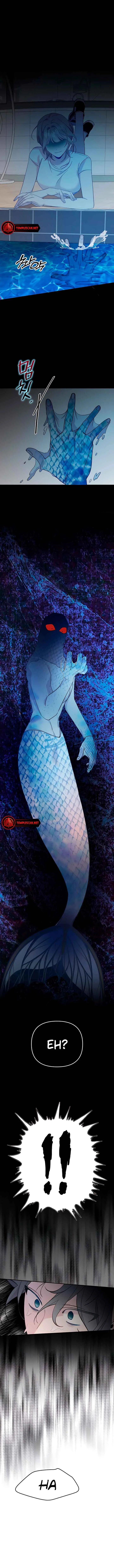 The Mermaid I Loved Chapter 16 page 7