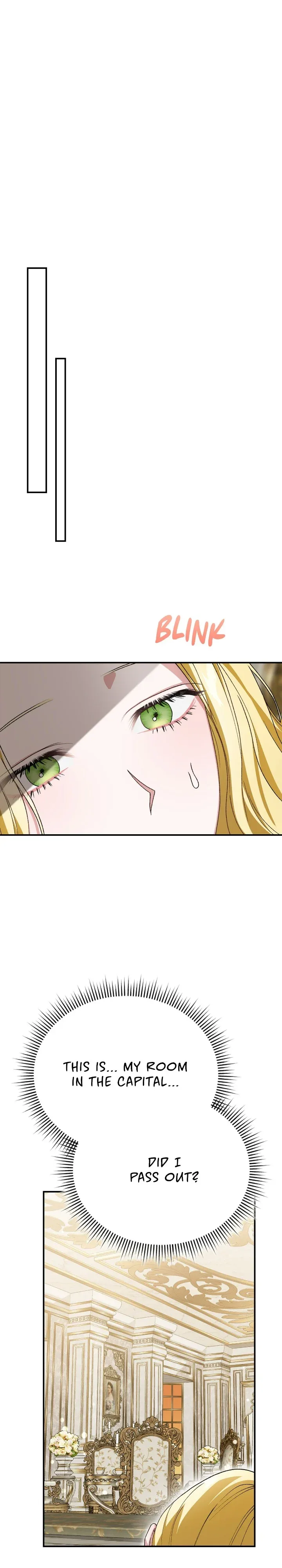 The Mistress Runs Away Chapter 30 page 28