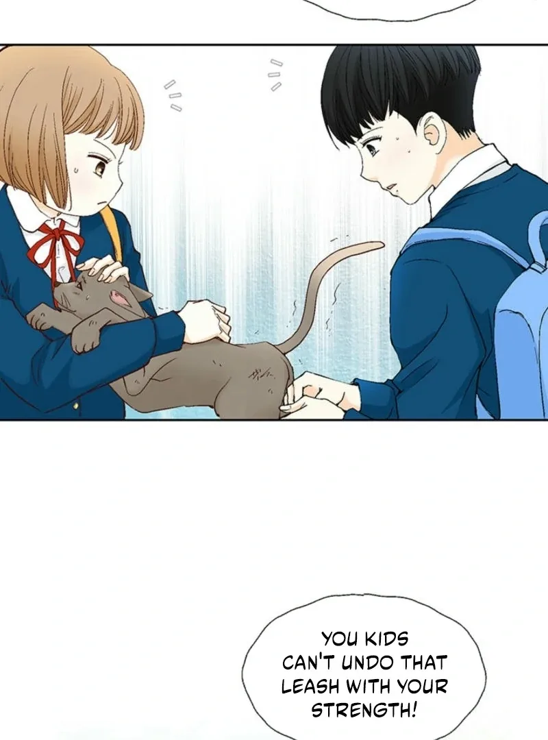 The Moment of Love Chapter 1 page 25