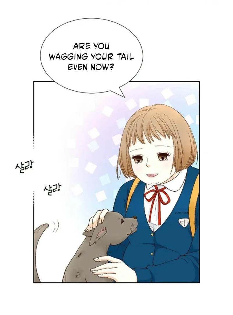 The Moment of Love Chapter 1 page 15