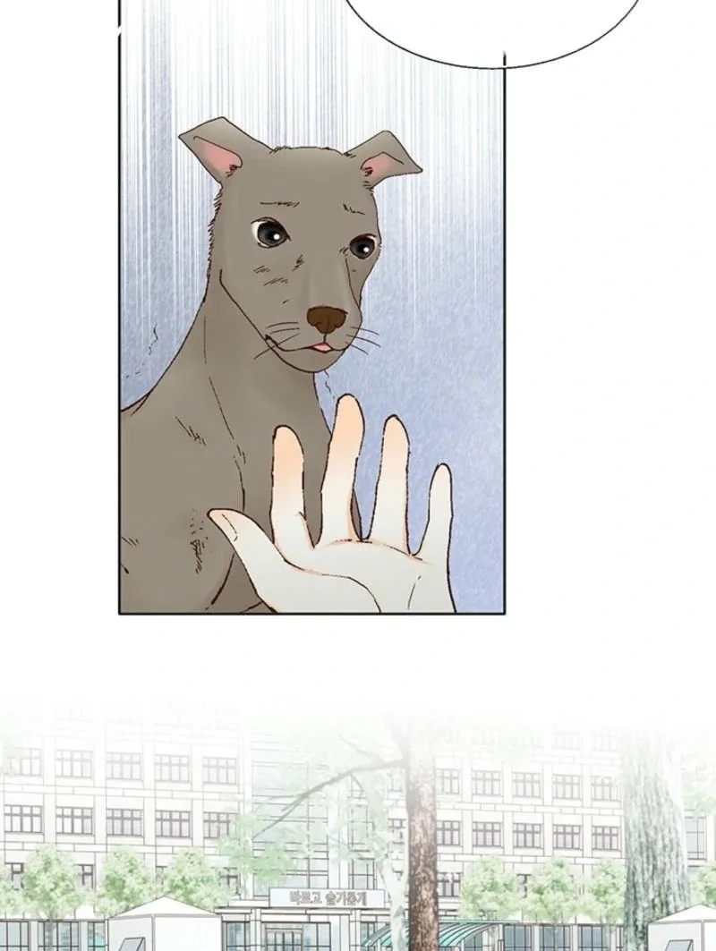 The Moment of Love Chapter 1 page 9