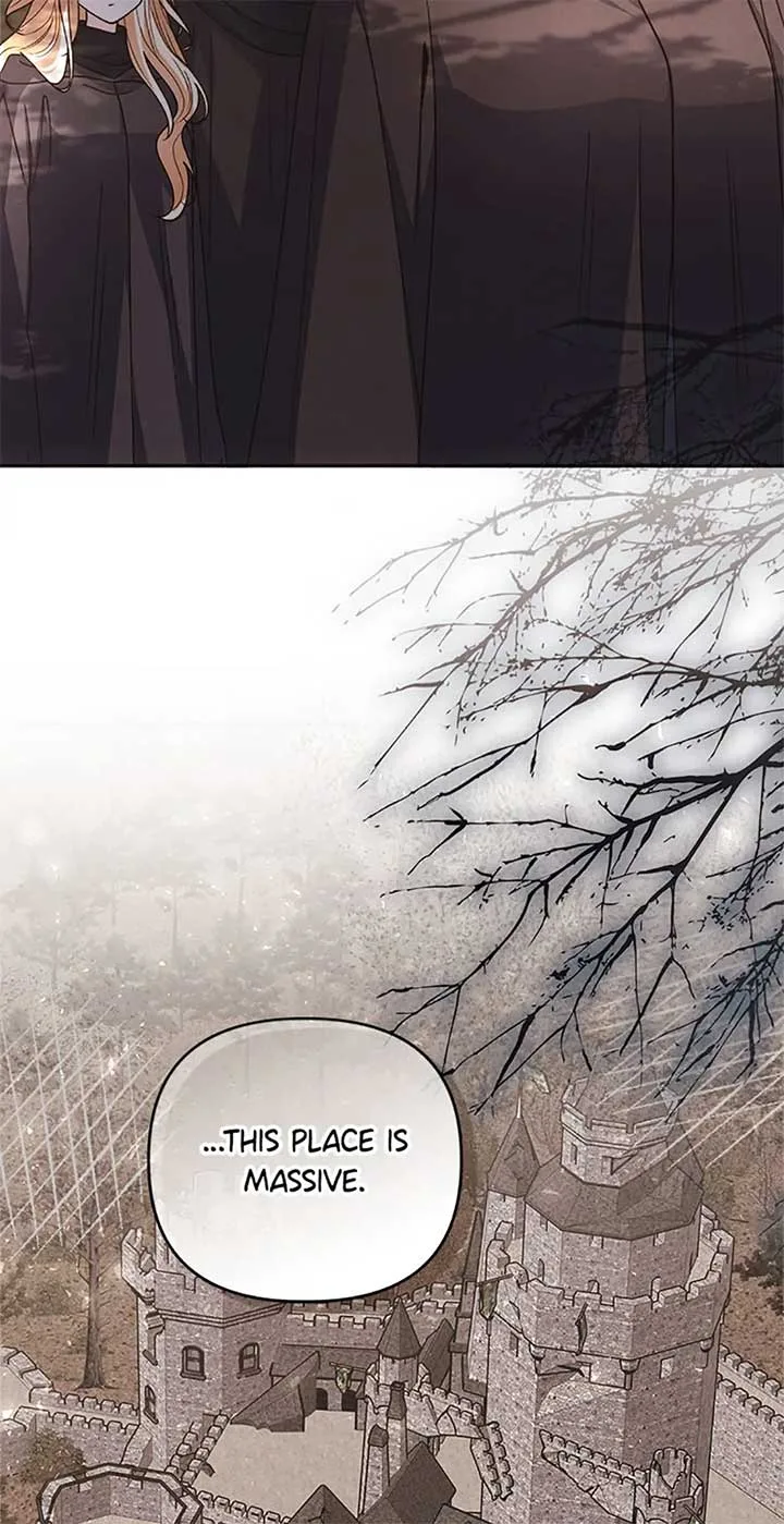 The Monster Duke Mistook Me for His Wife Chapter 29 page 10