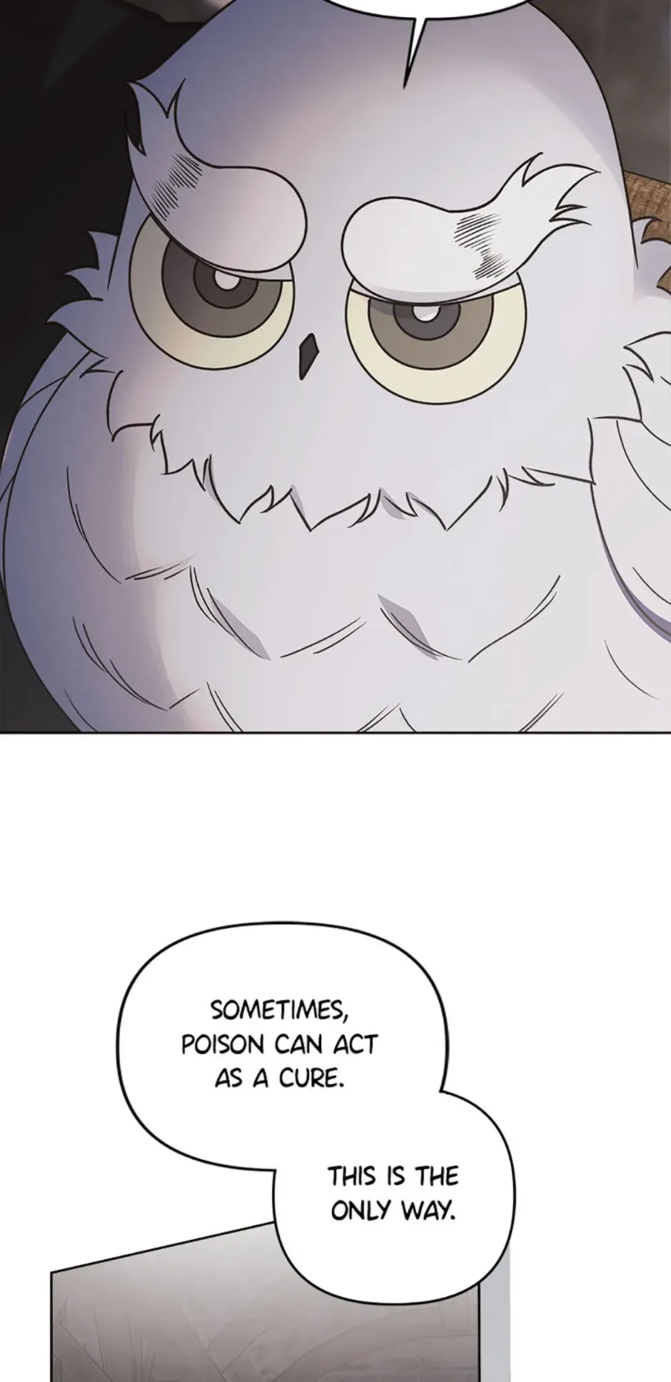 The Monster Duke Mistook Me for His Wife Chapter 32 page 24