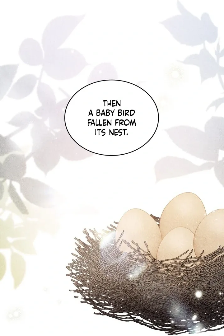 The Monster Lady and the Holy Knight Chapter 45 page 50