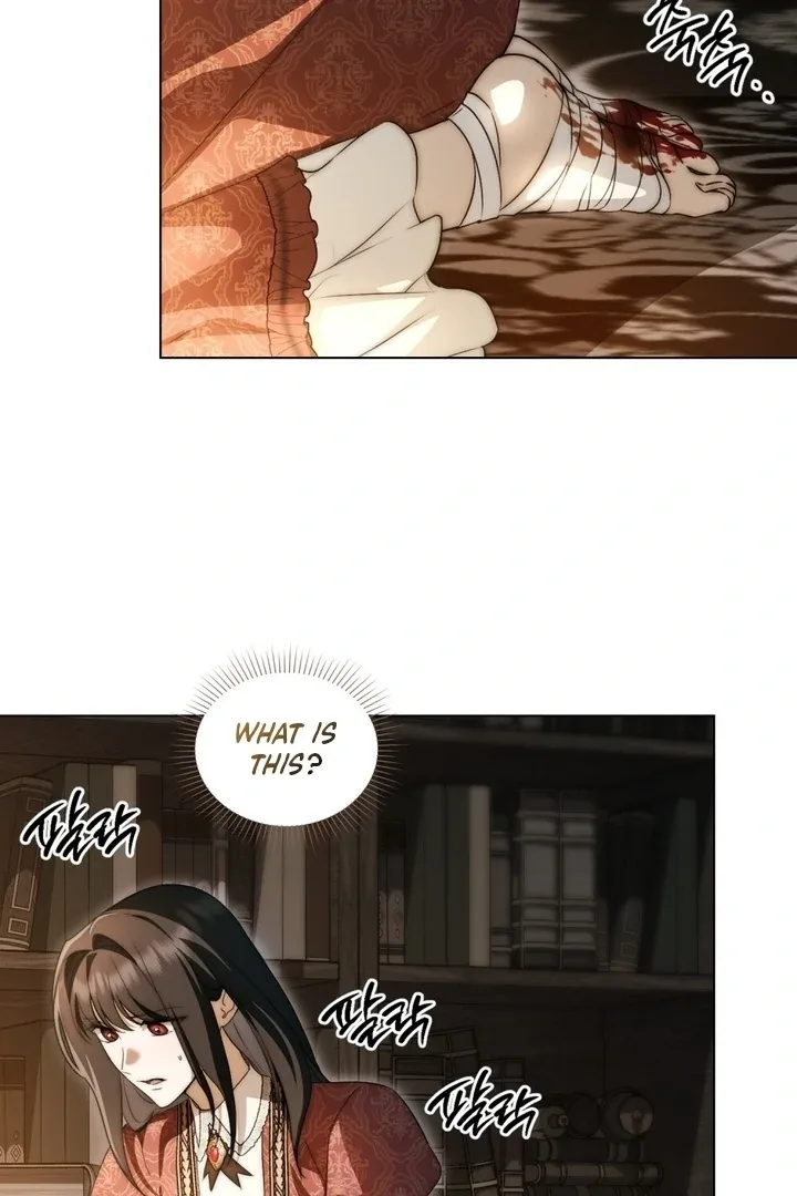 The Monster Lady and the Holy Knight Chapter 47 page 45