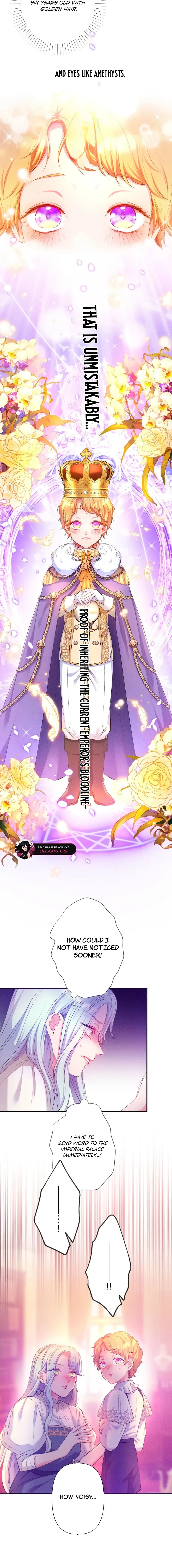 The Neglected Noble Lady Became the Beloved Caretaker of the Imperial Family Chapter 3 page 17