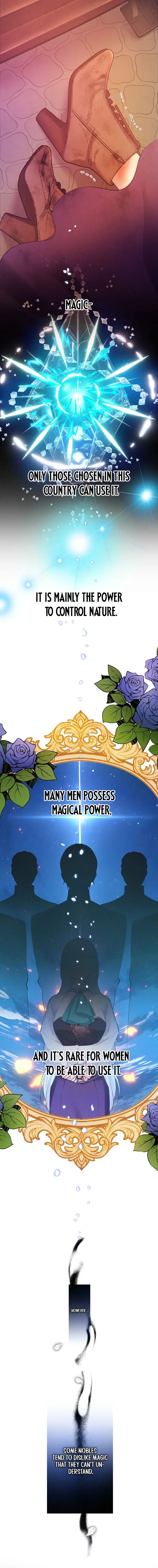 The Neglected Noble Lady Became the Beloved Caretaker of the Imperial Family Chapter 2 page 8