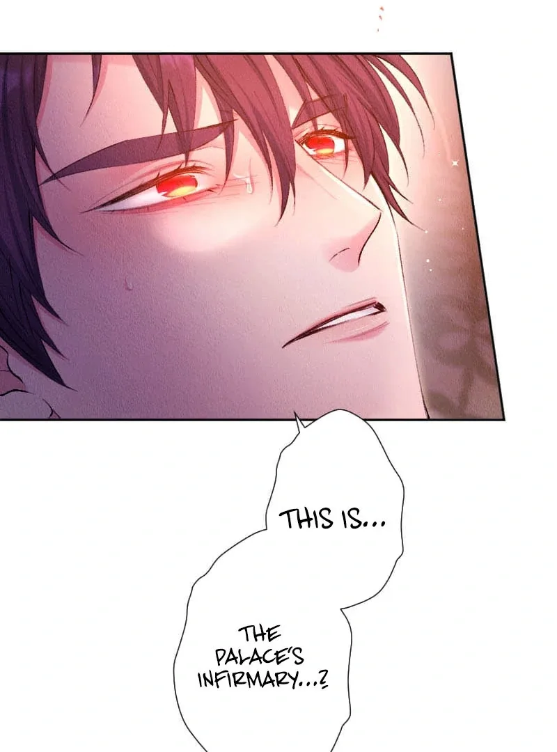 The Neglected Noble Lady Became the Beloved Caretaker of the Imperial Family Chapter 16 page 11