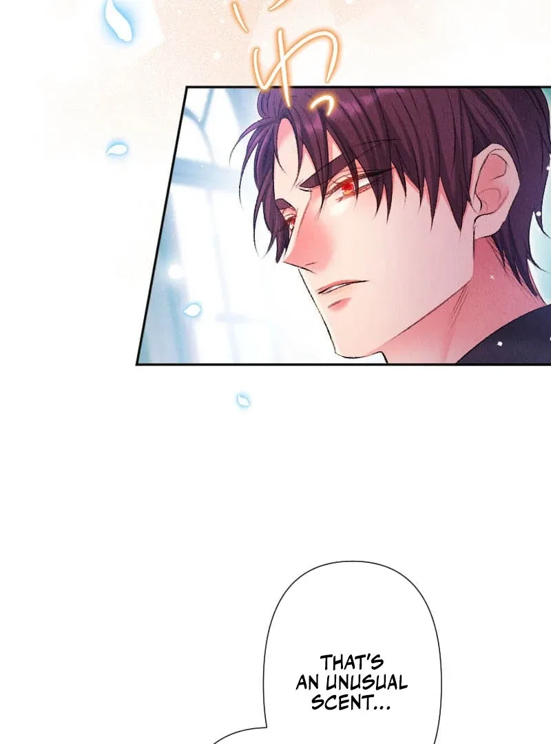 The Neglected Noble Lady Became the Beloved Caretaker of the Imperial Family Chapter 24 page 77