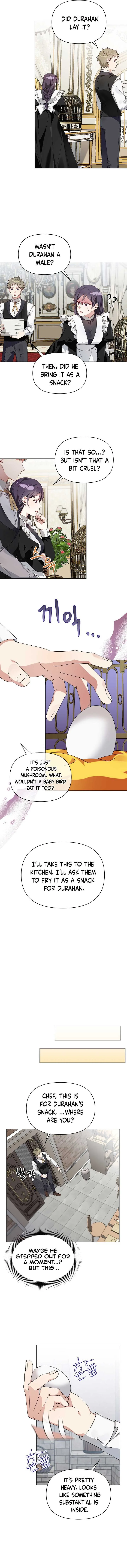 The New Empress Chapter 3 page 5