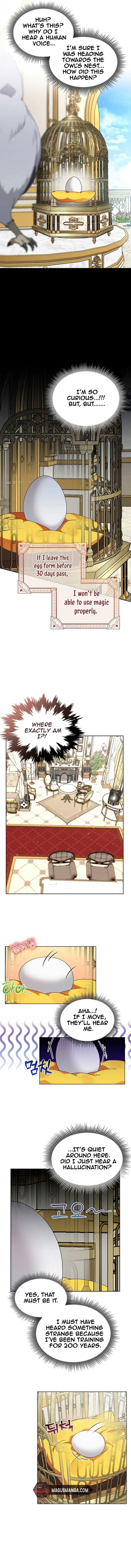 The New Empress Chapter 3 page 3