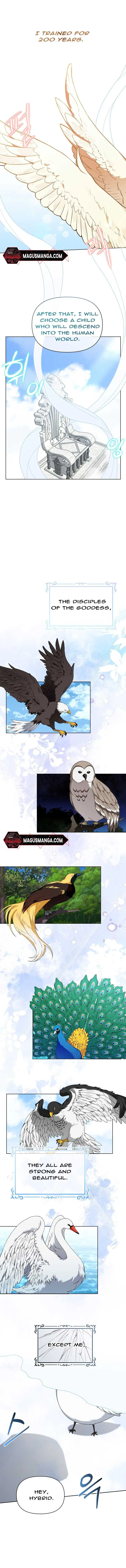 The New Empress Chapter 2 page 3