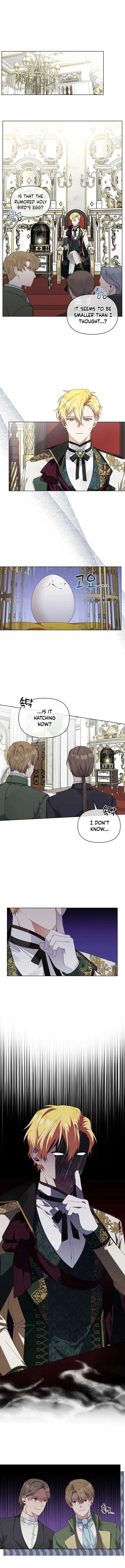 The New Empress Chapter 5 page 5