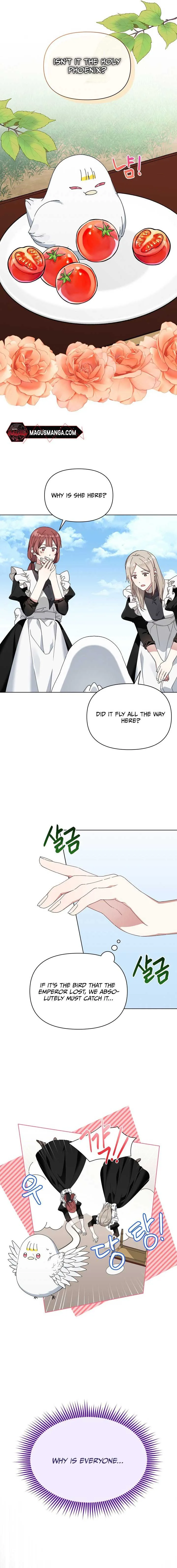 The New Empress Chapter 11 page 7