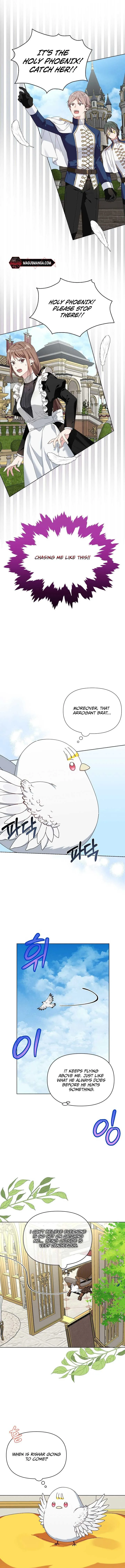 The New Empress Chapter 11 page 8