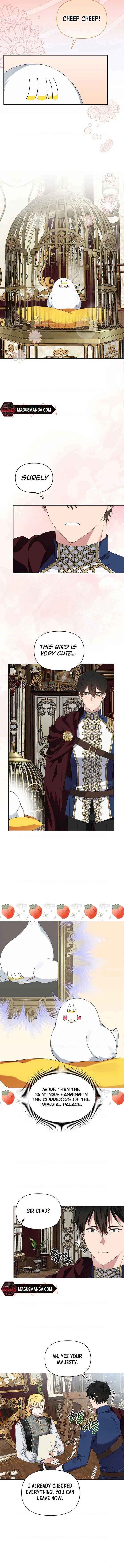 The New Empress Chapter 12 page 8