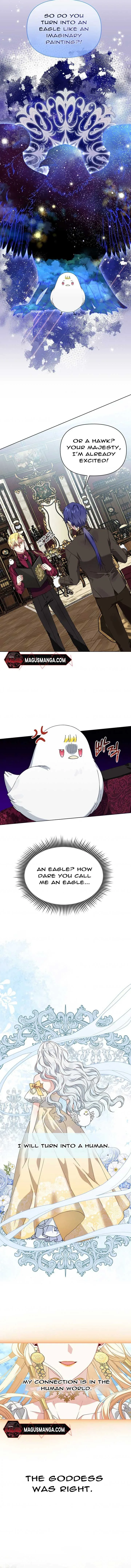 The New Empress Chapter 7 page 7