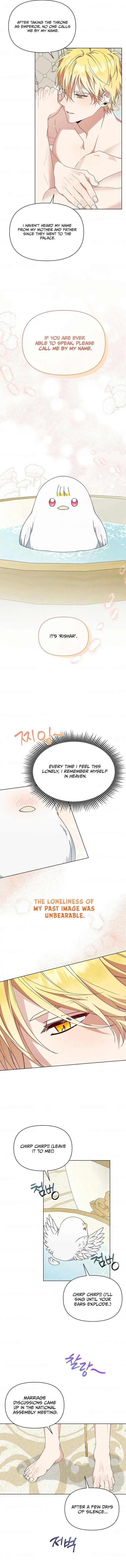 The New Empress Chapter 9 page 8