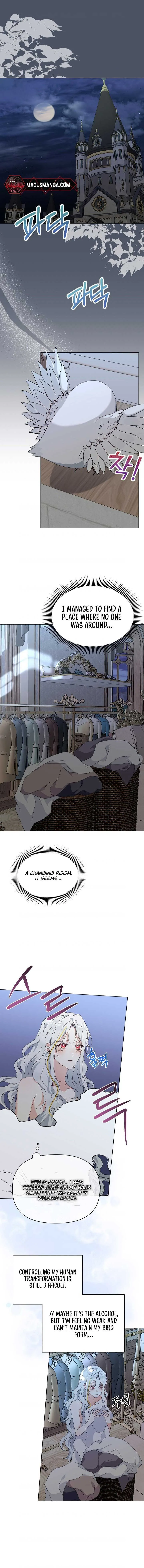 The New Empress Chapter 17 page 2