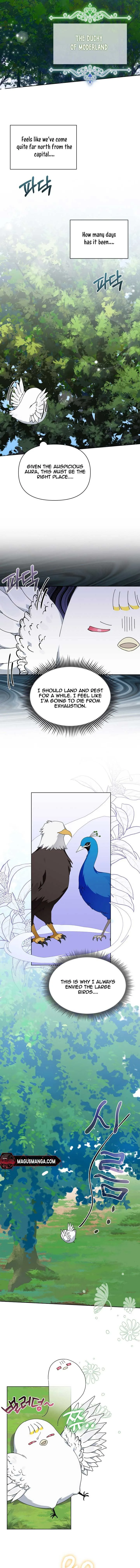 The New Empress Chapter 18 page 10