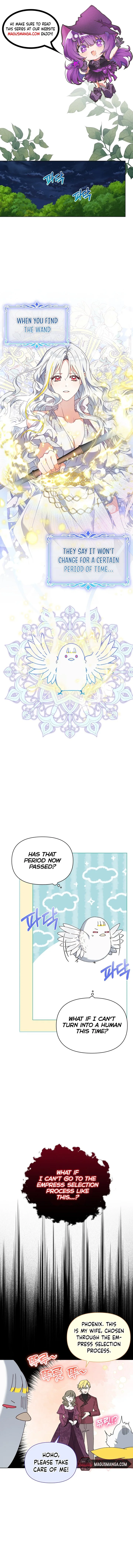The New Empress Chapter 27 page 2