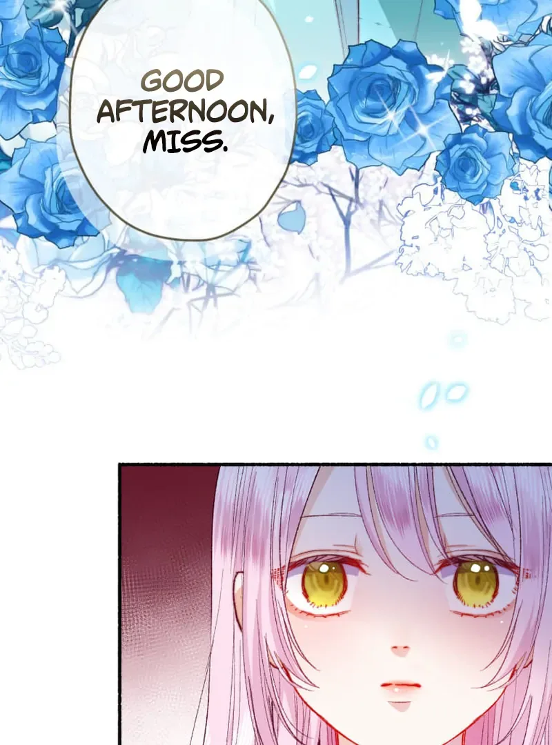 The new mage, Orthria Chapter 1 page 48