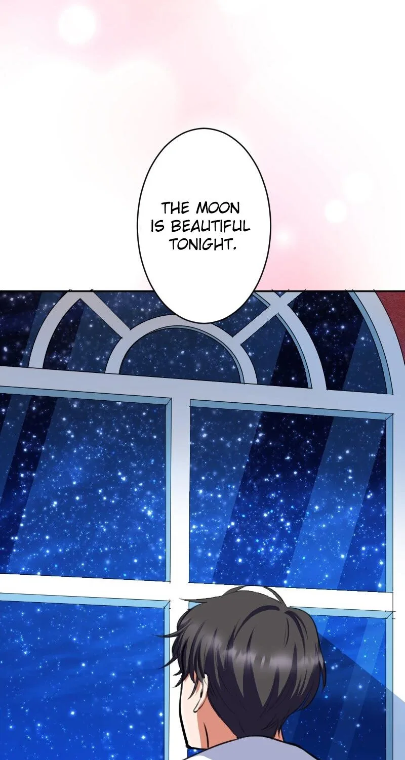 The Night Time Lady And The Doting Head Of The Family Chapter 11 page 5