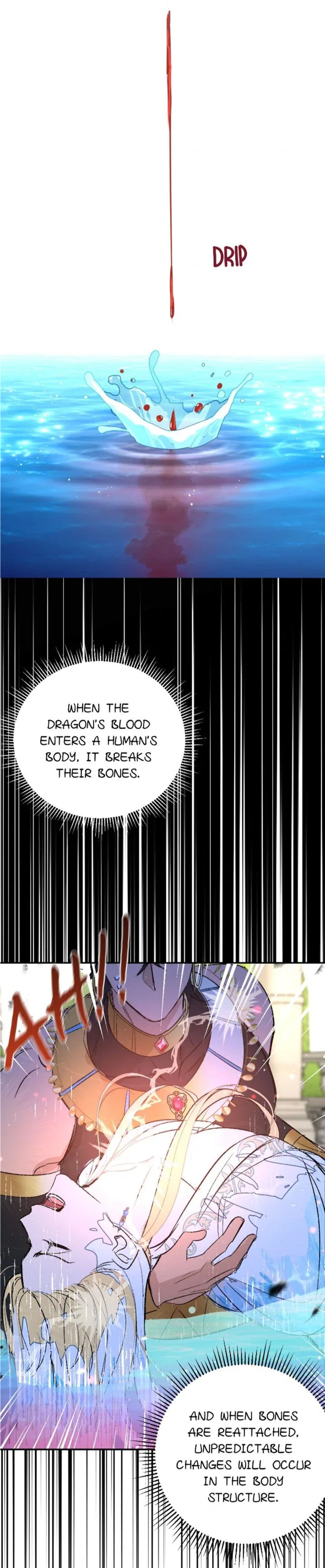 The Priest Dreaming of a Dragon Chapter 15 page 13
