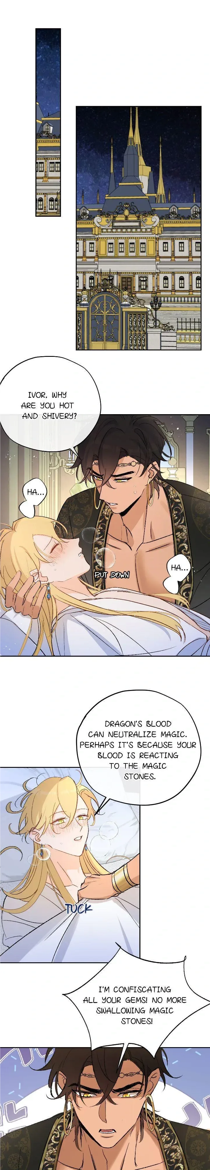 The Priest Dreaming of a Dragon Chapter 17 page 6