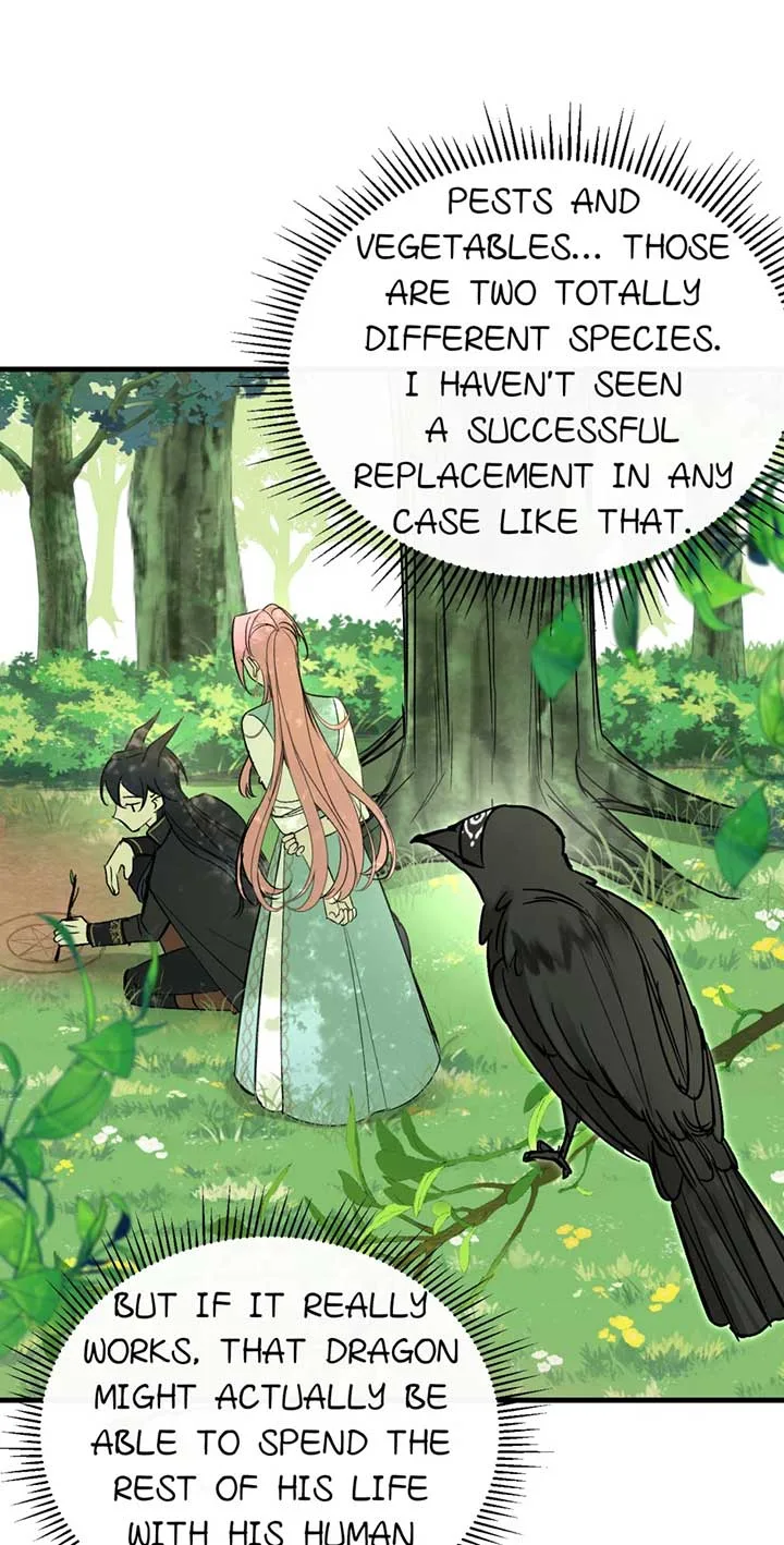 The Priest Dreaming of a Dragon Chapter 49 page 13