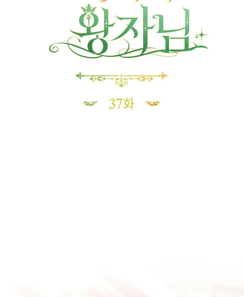 The Prince Meant for You Chapter 37 page 11