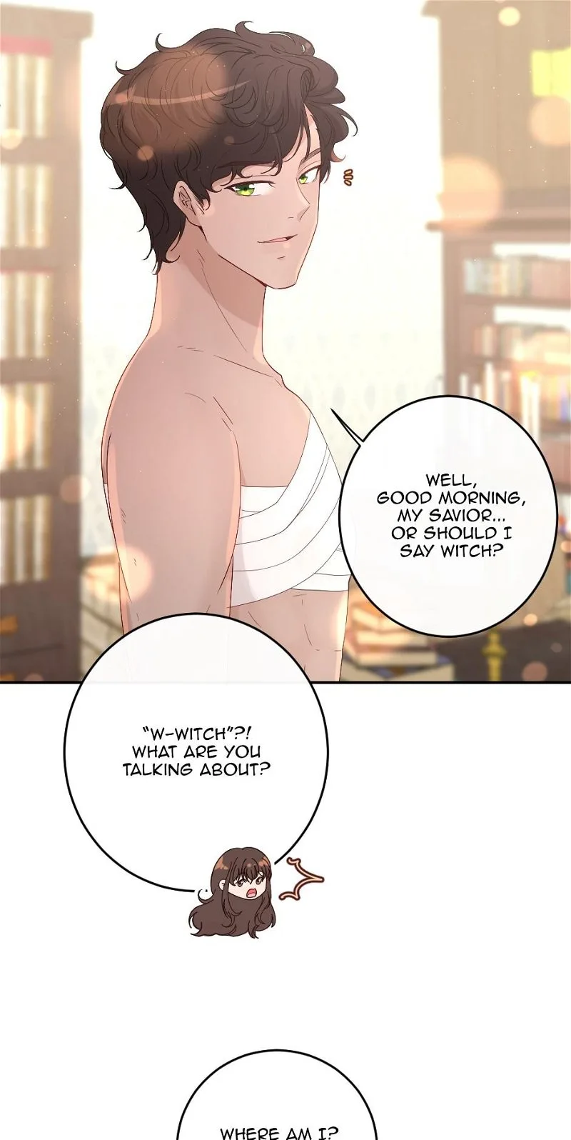 The Prince’s Personal Physician Chapter 2 page 5