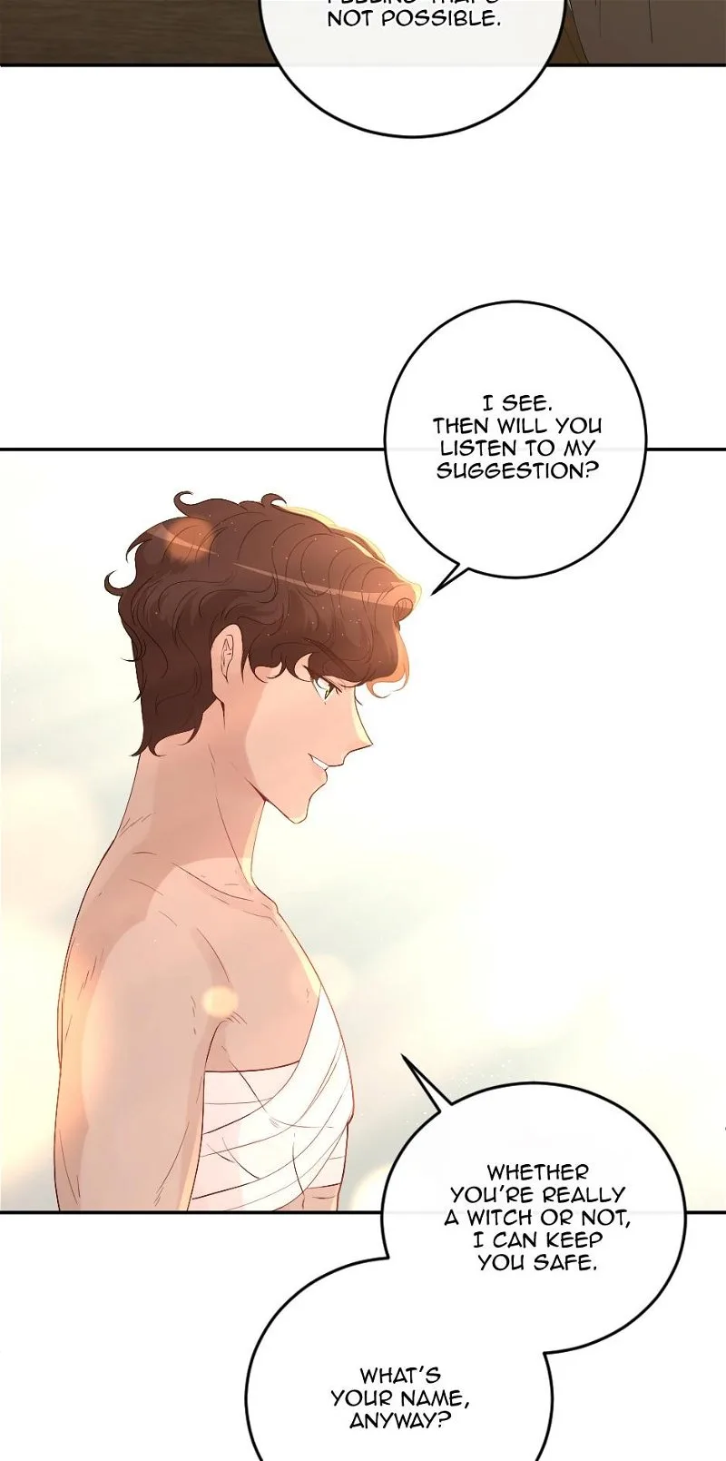 The Prince’s Personal Physician Chapter 2 page 17