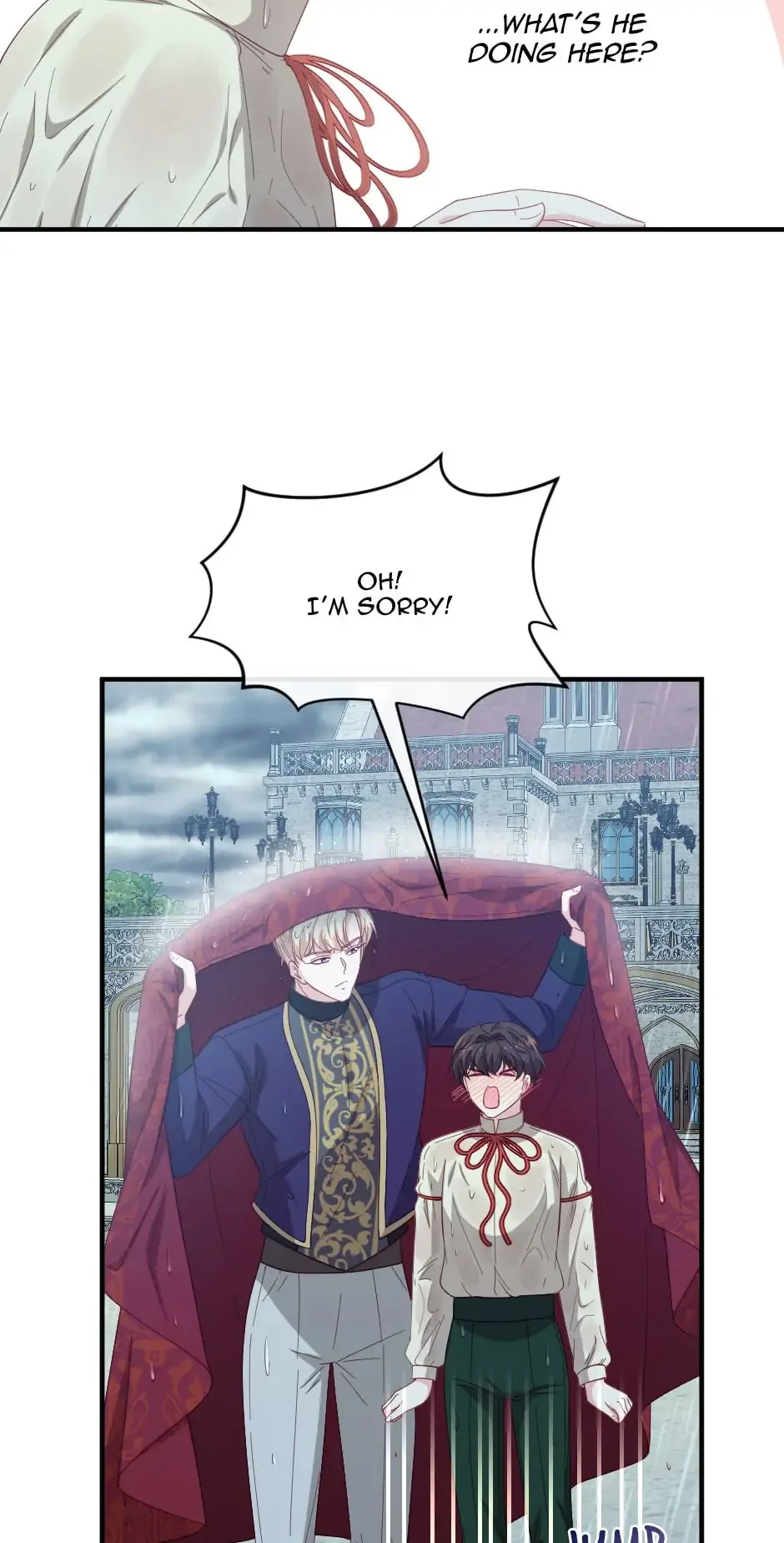 The Prince’s Personal Physician Chapter 37 page 9