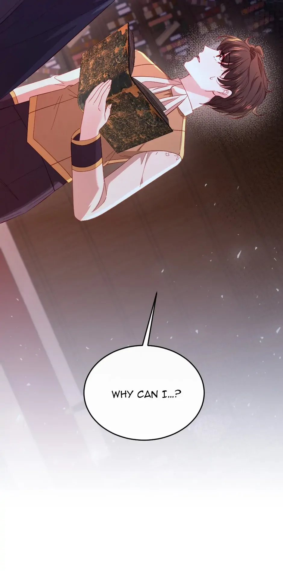 The Prince’s Personal Physician Chapter 45 page 69