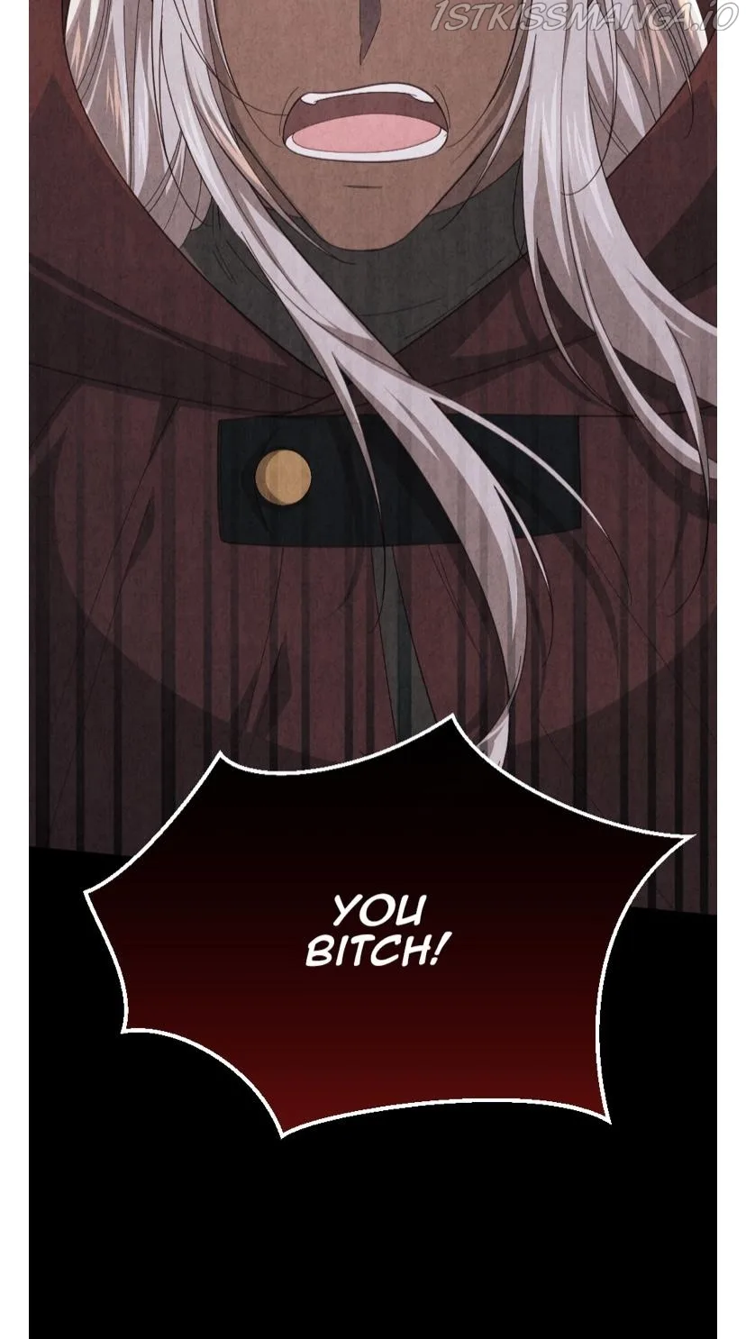 The Prince’s Personal Physician Chapter 46 page 17