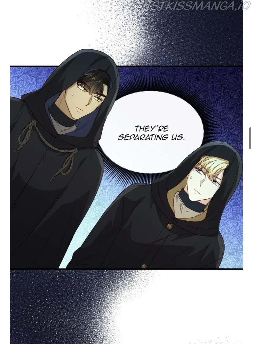 The Prince’s Personal Physician Chapter 47 page 7