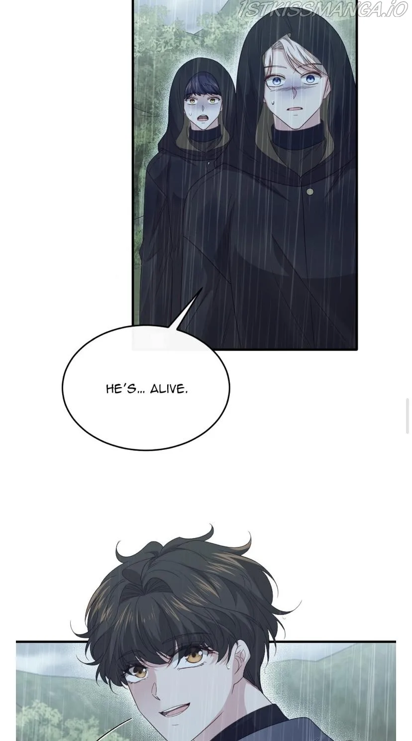 The Prince’s Personal Physician Chapter 49 page 31