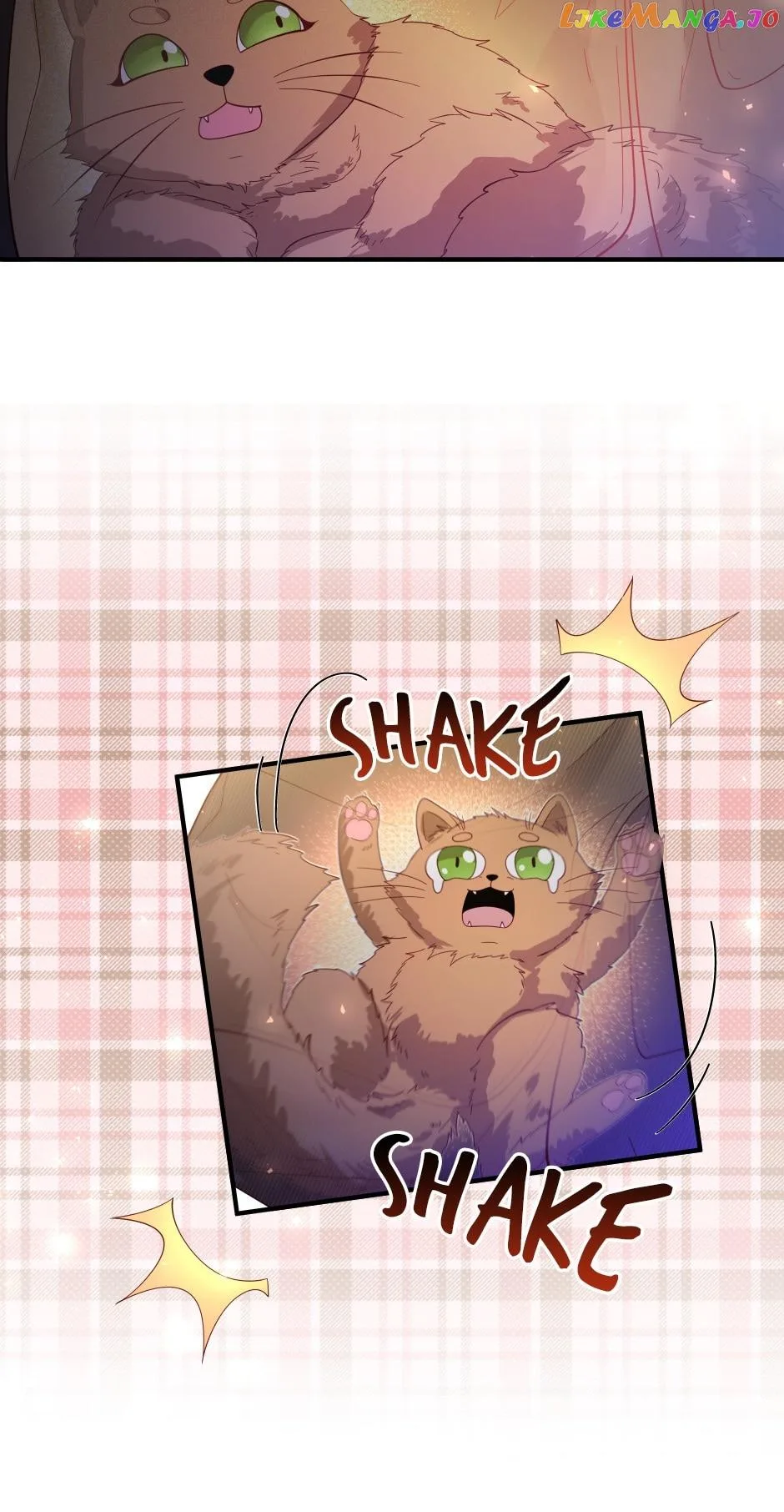 The Prince’s Personal Physician Chapter 55 page 15